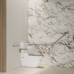 Aliro Accessible Back To Wall Toilet Suite