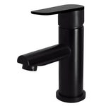 Round Paddle Basin Mixer